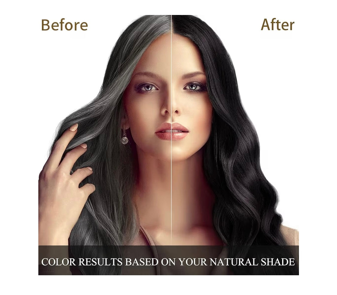 Ginger Black Hair Shampoo 500ml 16.9 fl oz. Longer-Lasting Color Natural Plant Extract