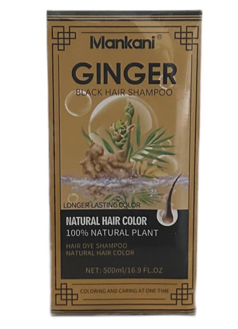 Ginger Black Hair Shampoo 500ml 16.9 fl oz. Longer-Lasting Color Natural Plant Extract