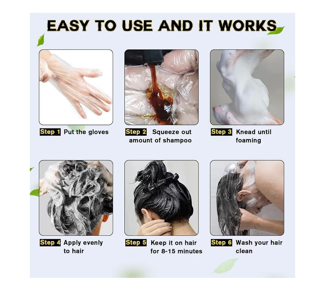 Ginger Black Hair Shampoo 500ml 16.9 fl oz. Longer-Lasting Color Natural Plant Extract